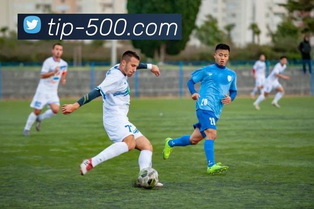 500彩票平台生态图